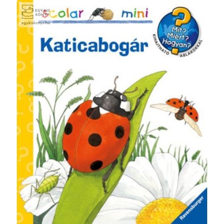 Katicabogár