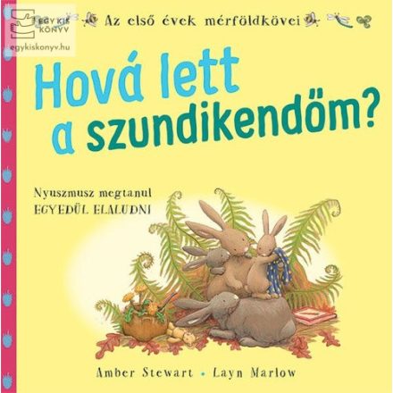 Hová lett a szundikendőm? 