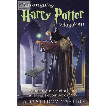 Harry Potter világában