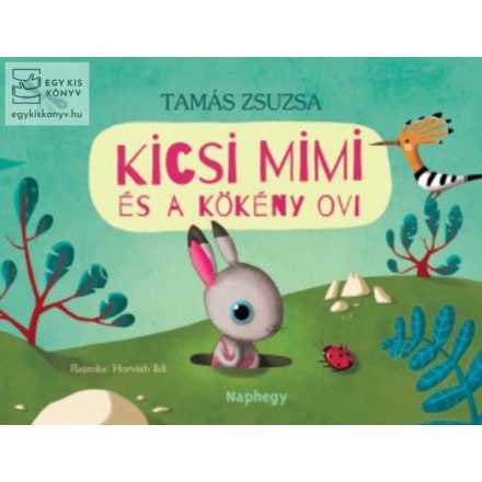 Kicsi Mimi és a Kökény ovi